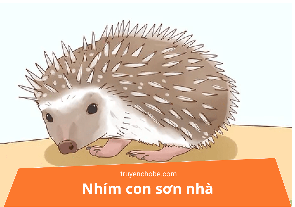 Nhím con sơn nhà