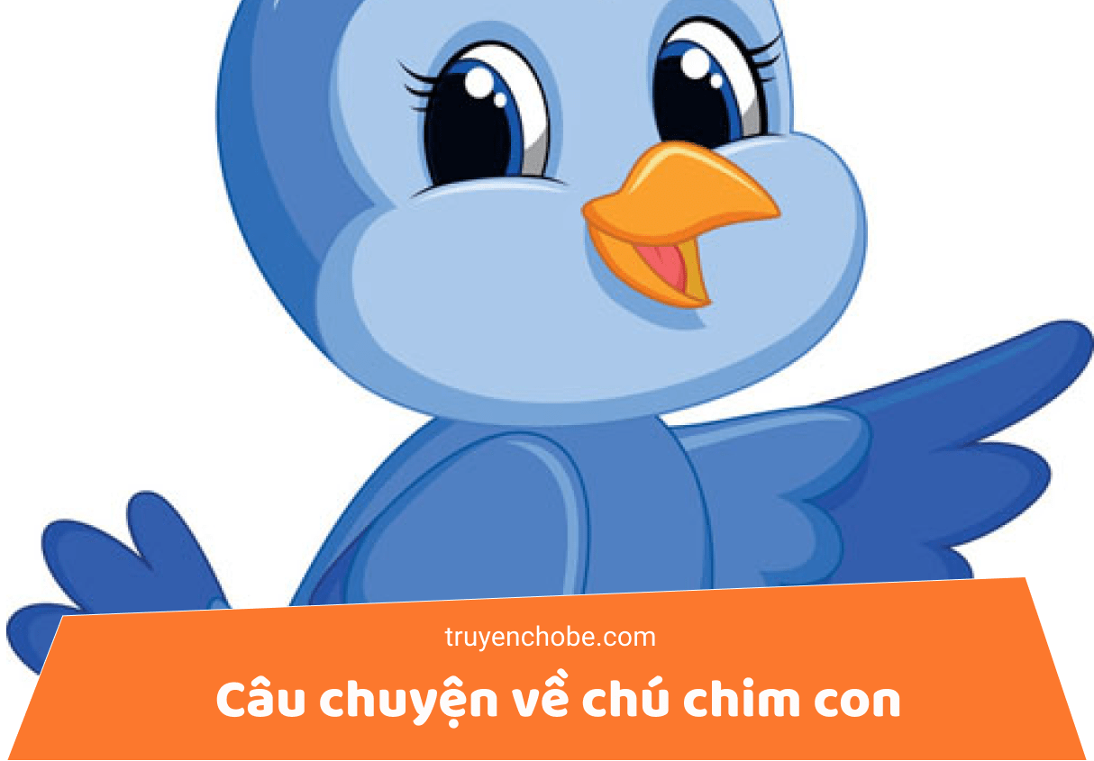 câu chuyện về chú chim con