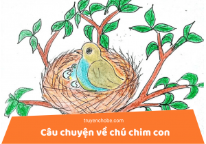 câu chuyện về chú chim con