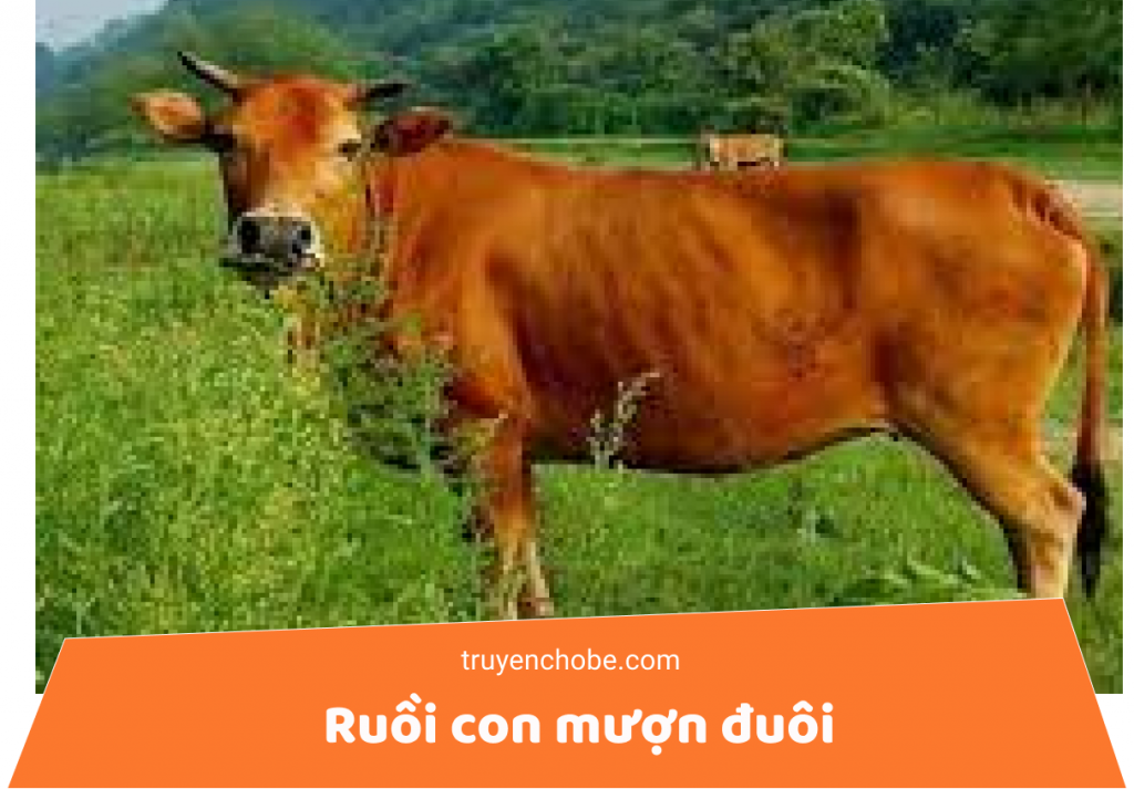 Ruồi con mượn đuôi