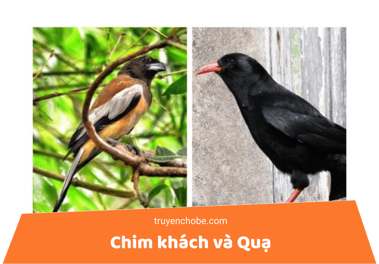 Chim khách và Quạ