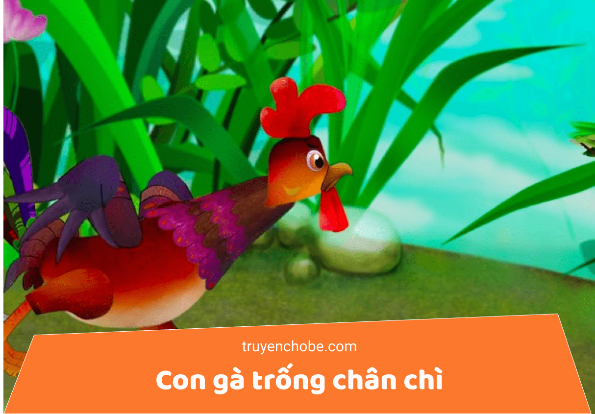 Con gà trống chân chì