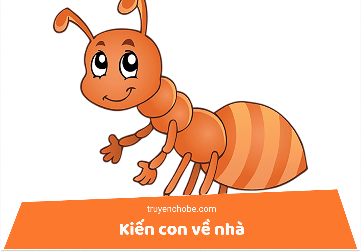 Kiến con về nhà