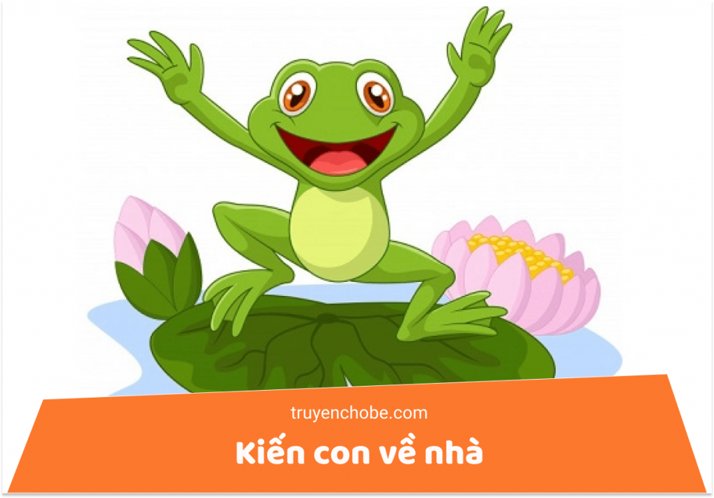 Kiến con về nhà