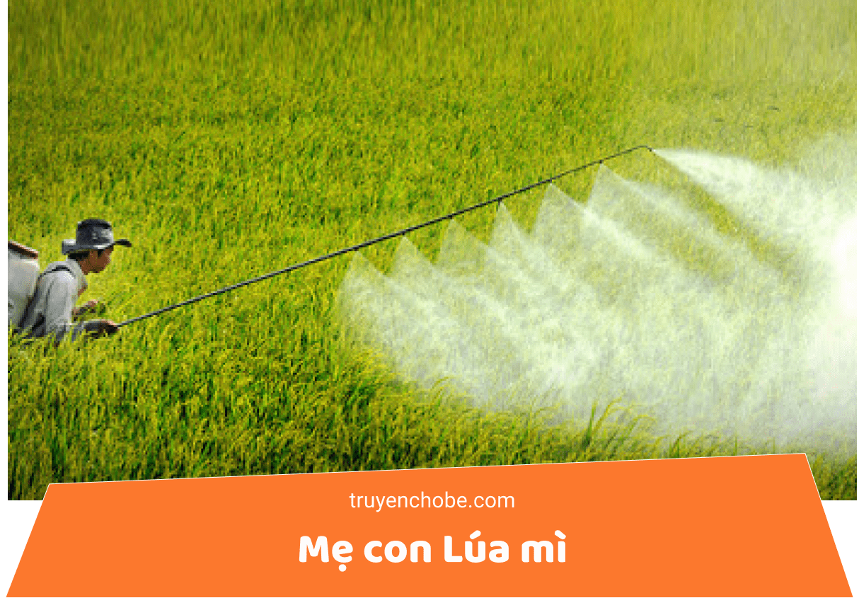 Mẹ con Lúa mì