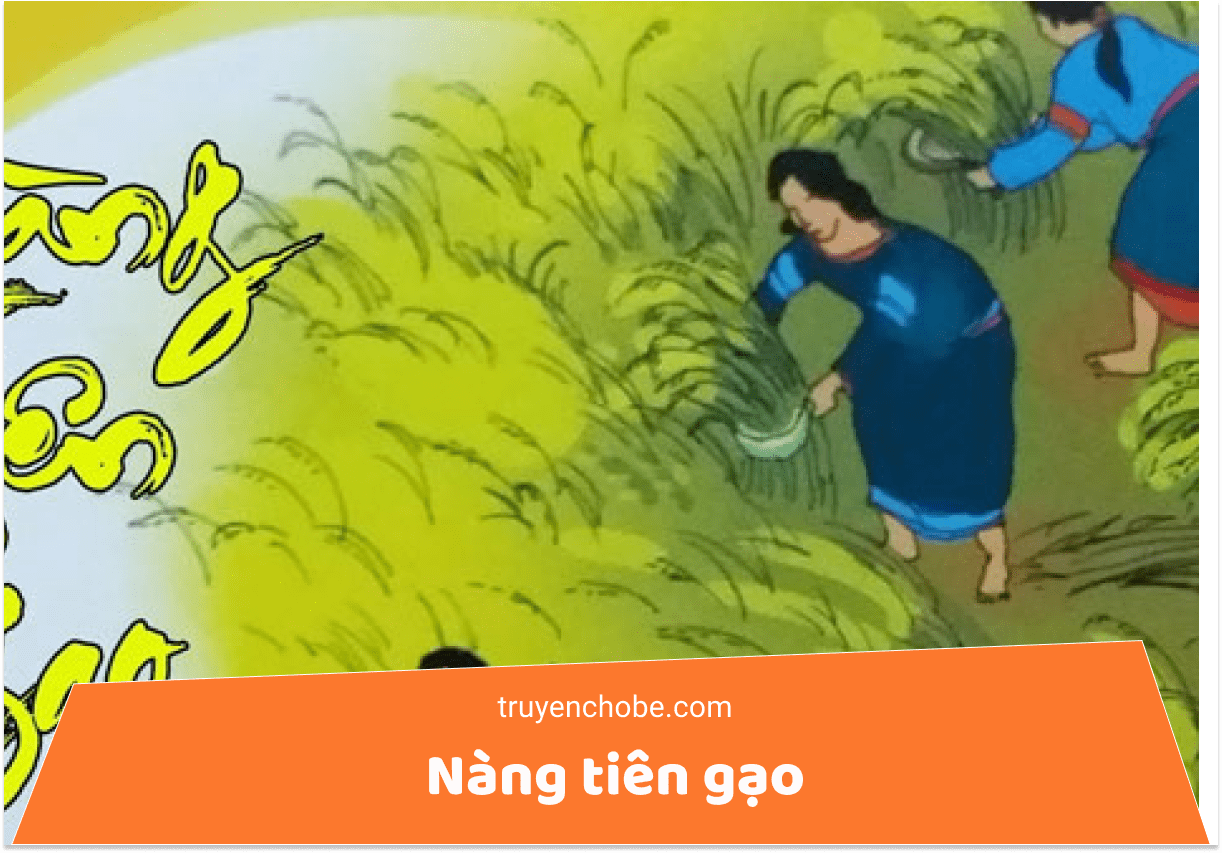 Nàng tiên gạo