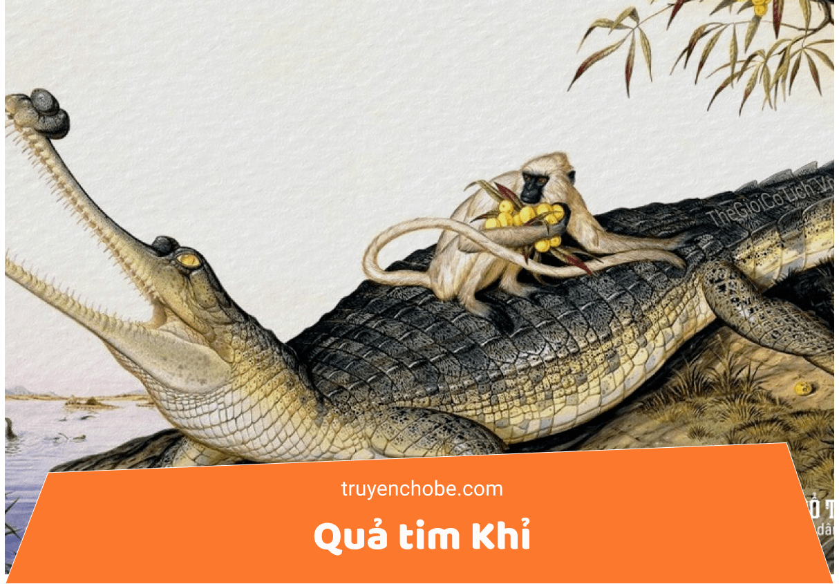 Quả tim Khỉ