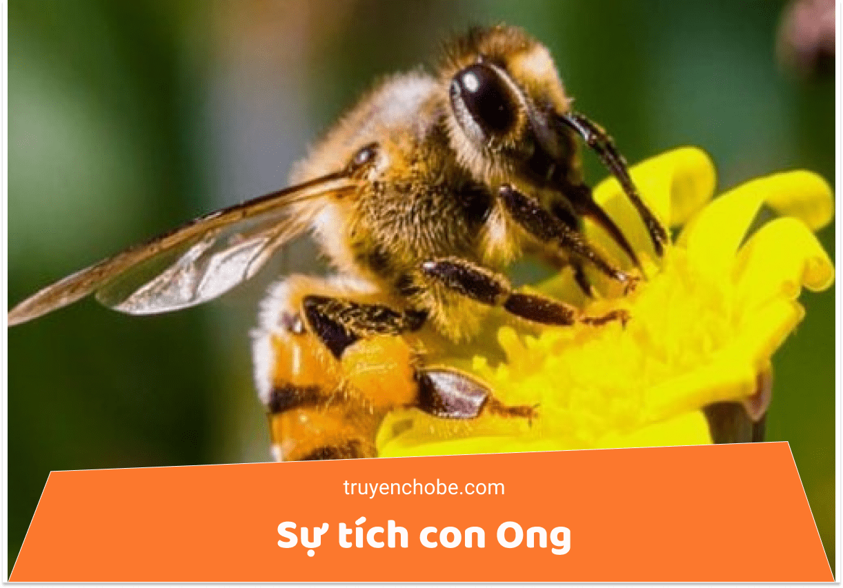 sự tích con Ong