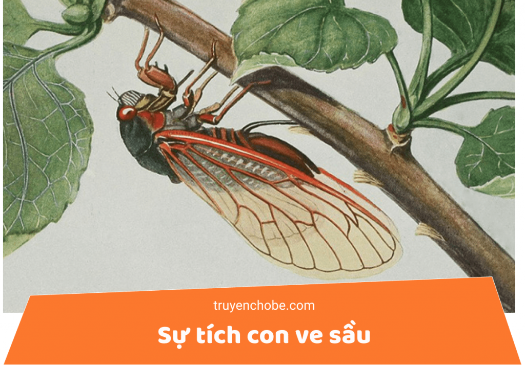 Sự tích con ve sầu