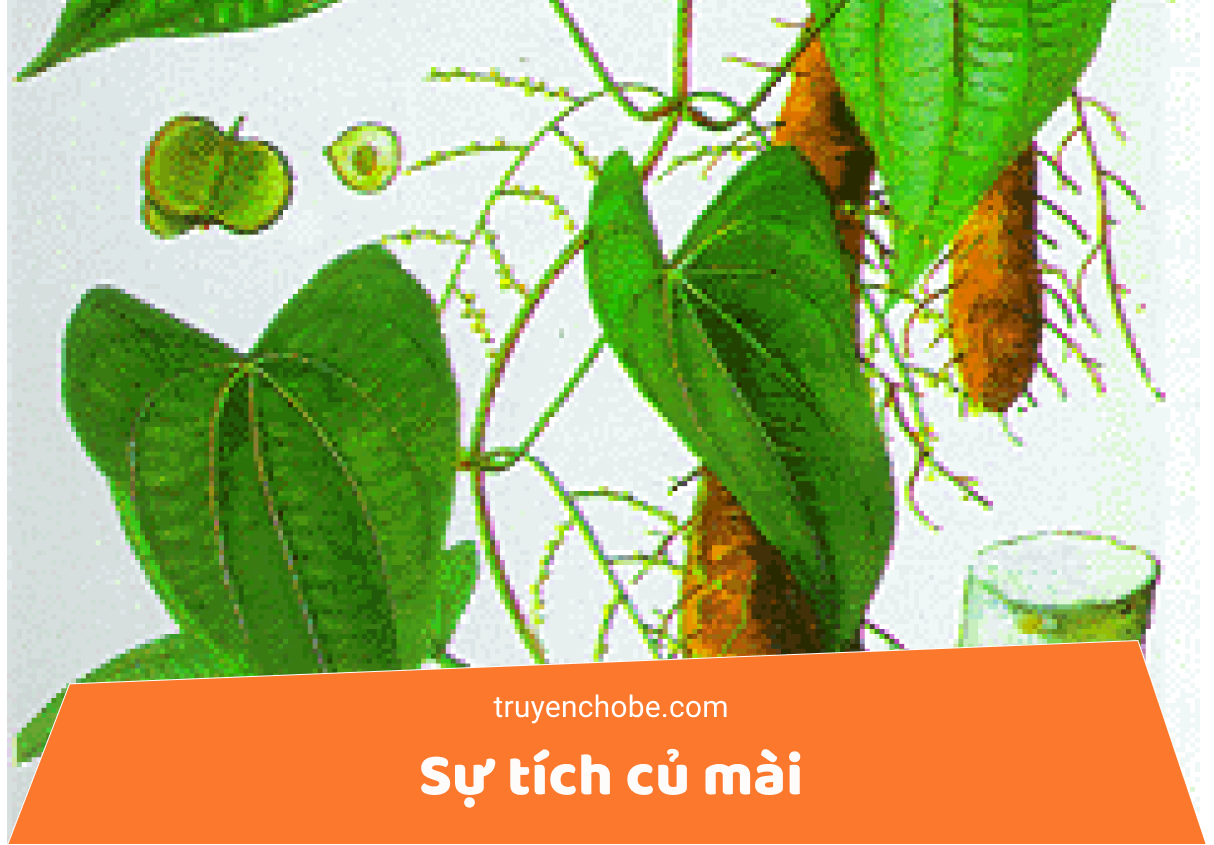 Sự tích củ mài