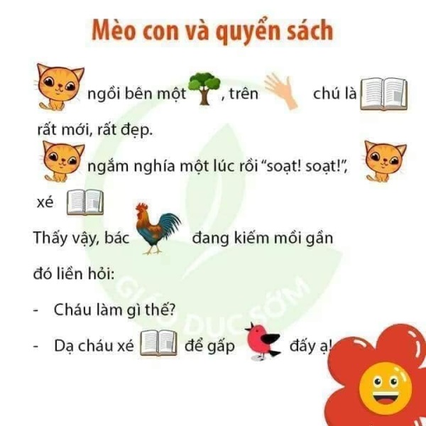 mèo con và quyển sách