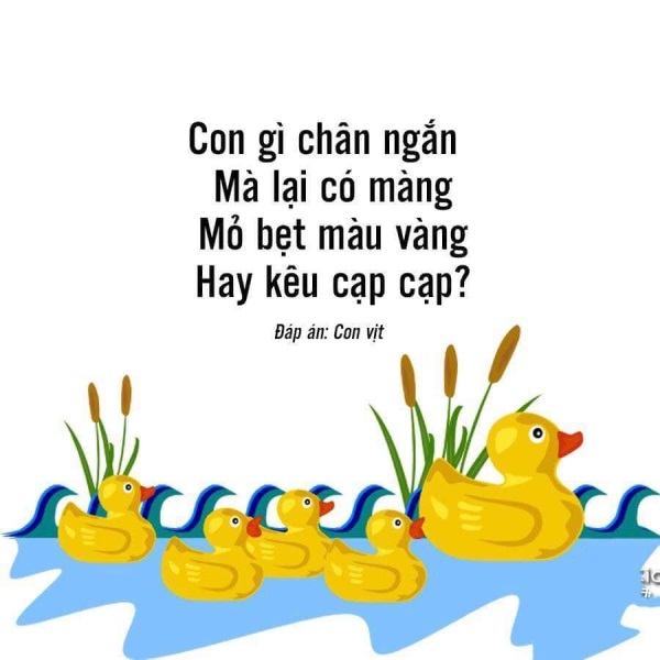 bài thơ đố con gì?