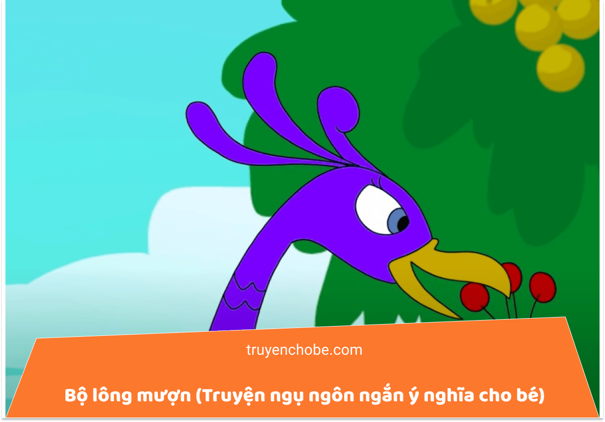Bộ lông mượn