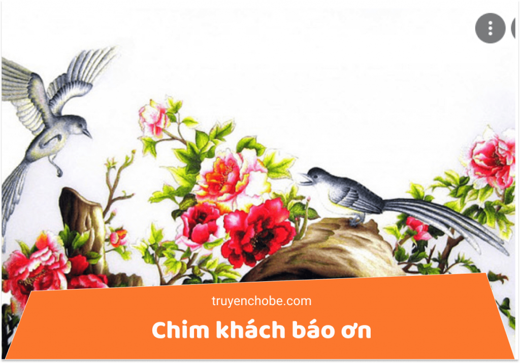 Chim khách báo ơn