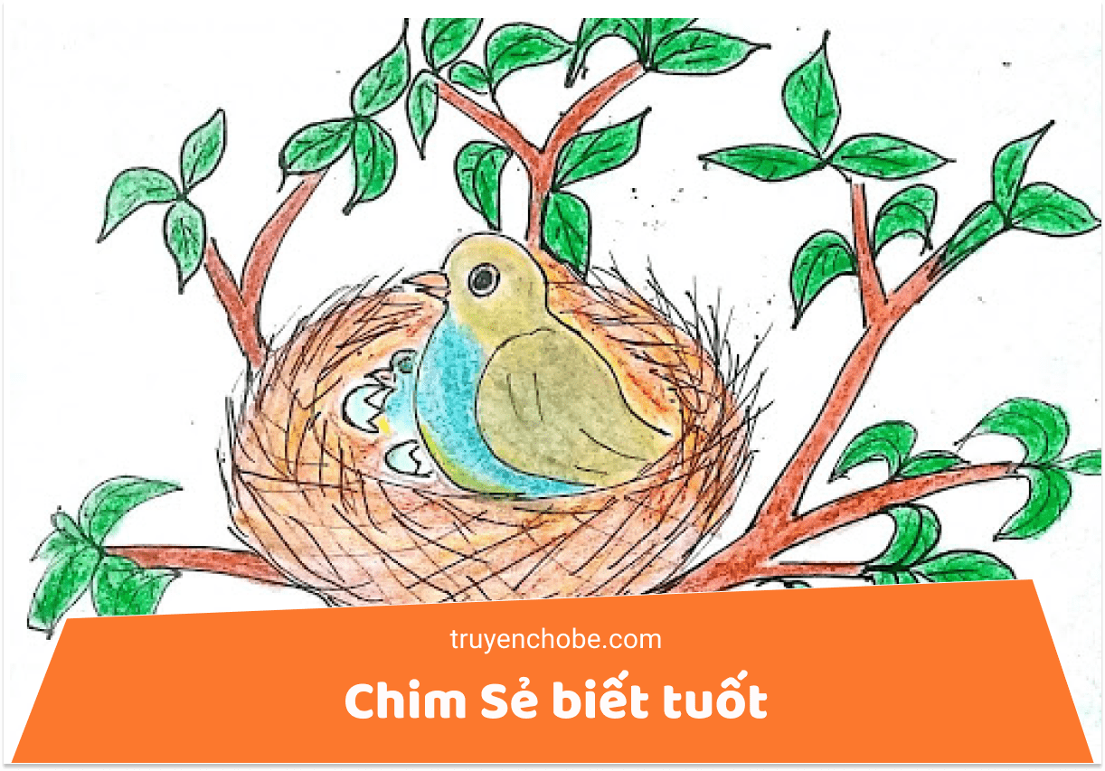 Chú chim sẻ biết tuốt