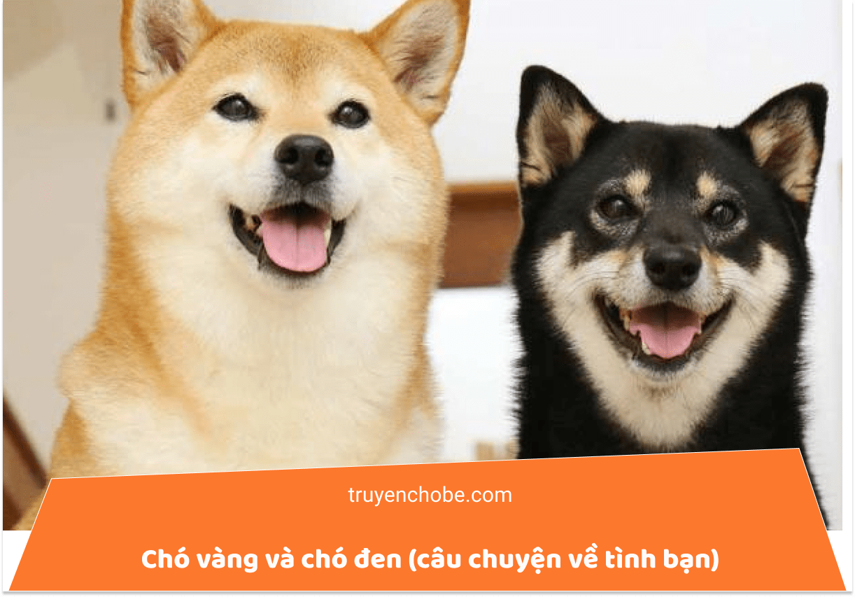 Chó vàng và chó đen (câu chuyện về tình bạn)