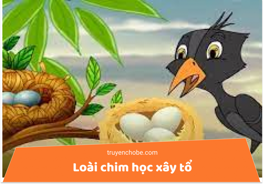 Loài chim học xây tổ (Truyện cổ tích Ấn Độ)