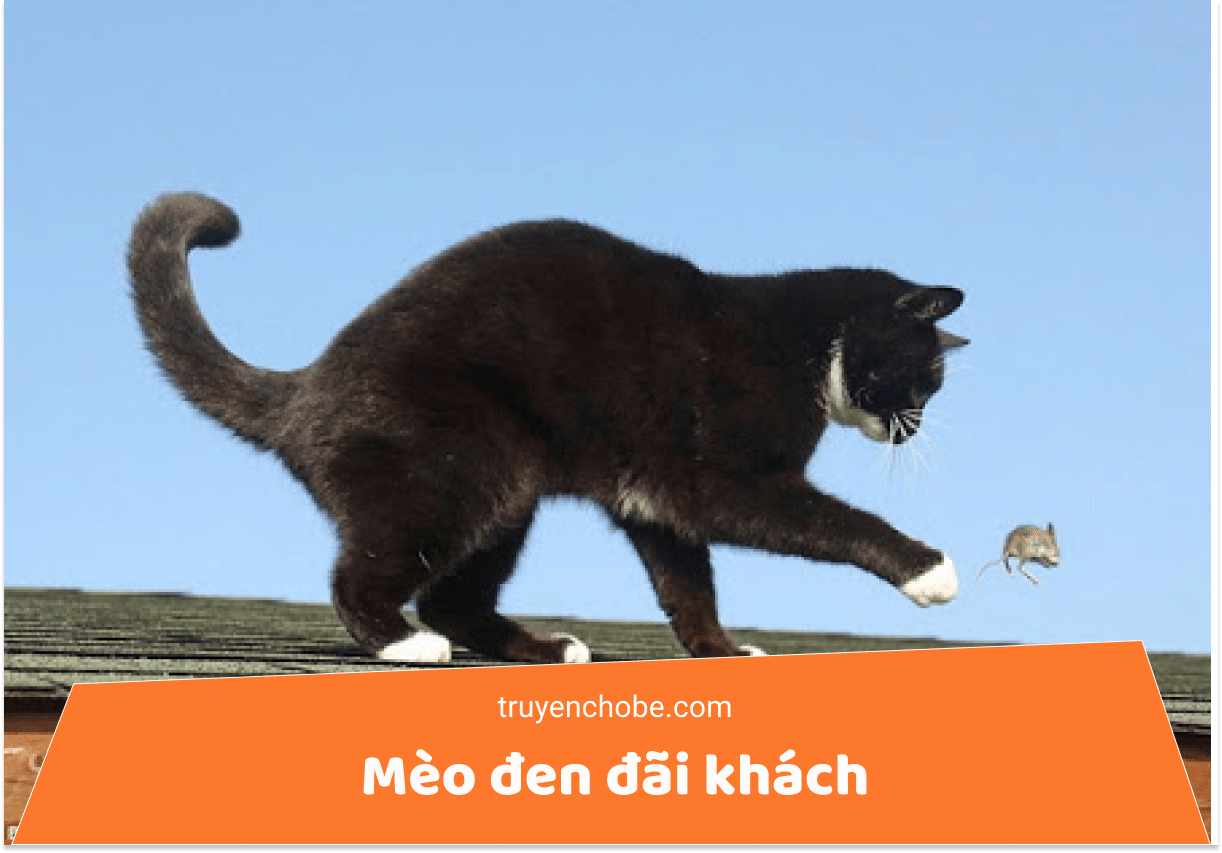 Mèo đen đãi khách