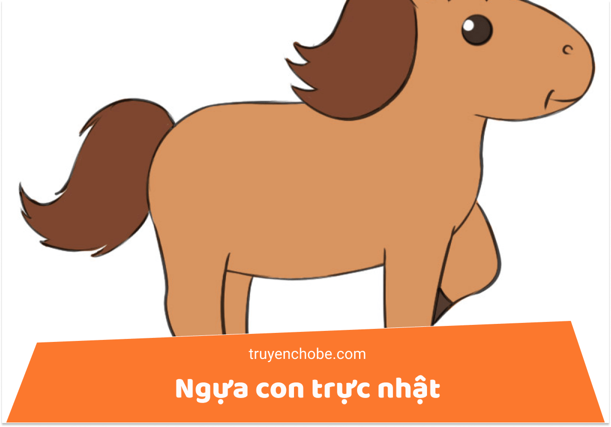 Ngựa con trực nhật