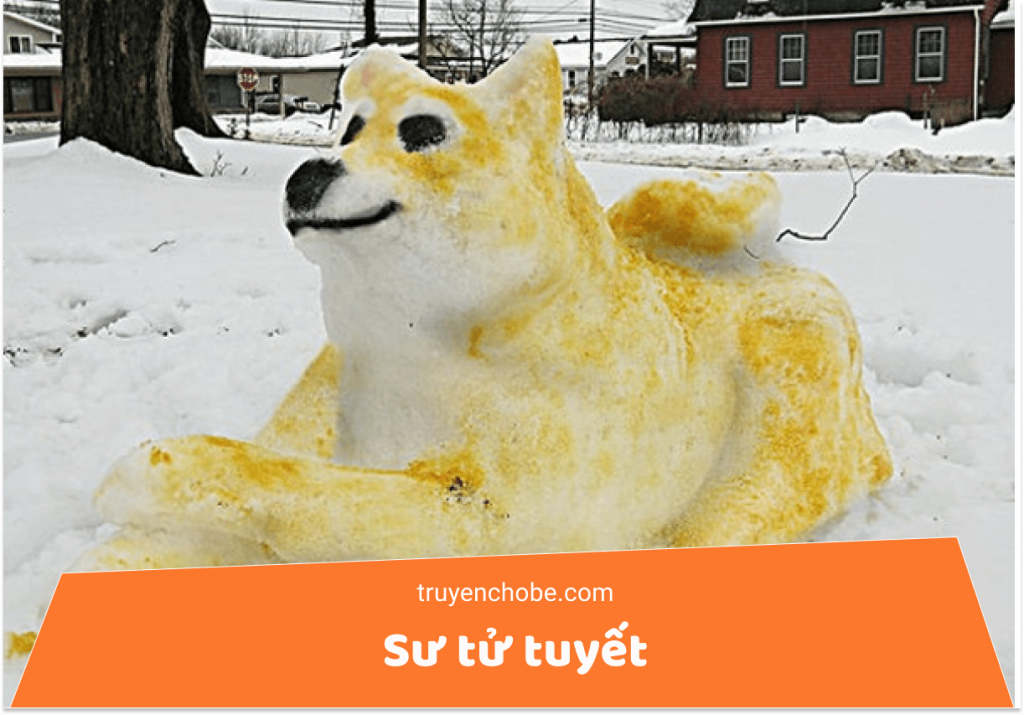 Sư tử tuyết