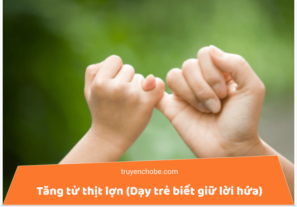 Tăng Tử thịt lợn
