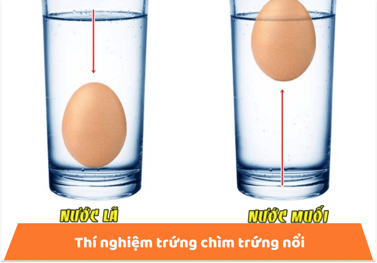chơi cùng con trong kì nghỉ dịch