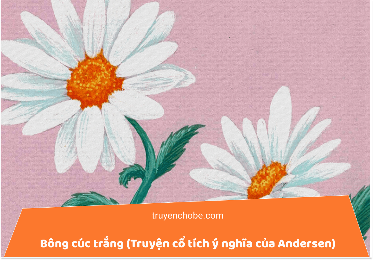 Bông cúc trắng (Truyện cổ tích ý nghĩa của Andersen)