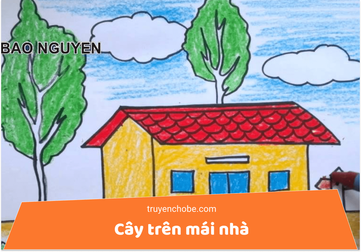 Cây trên mái nhà