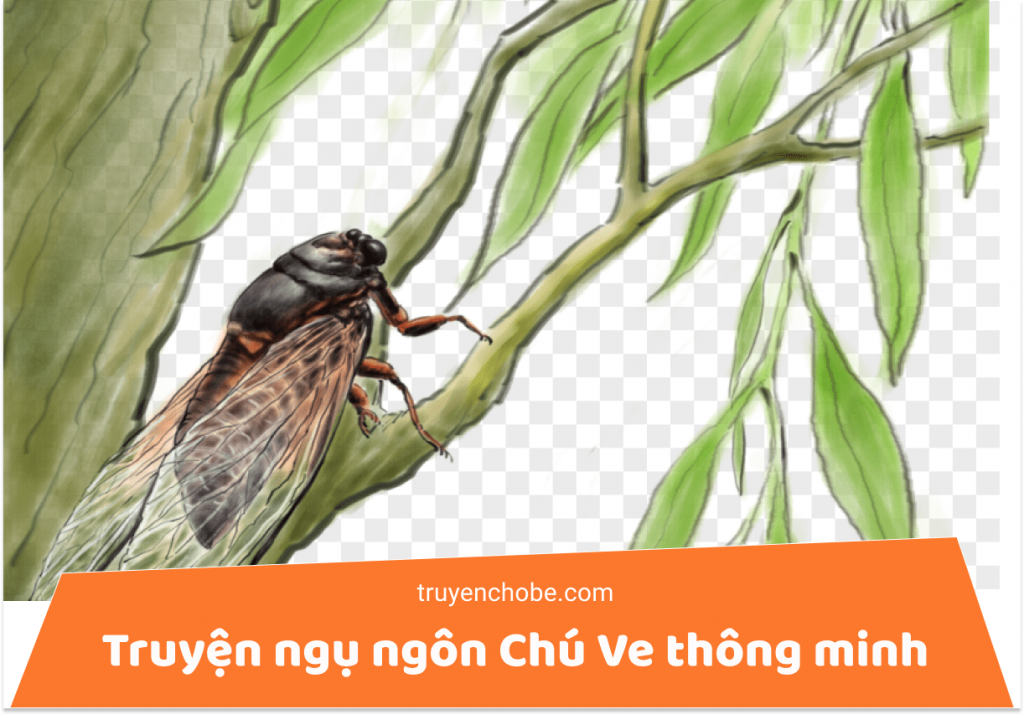 Truyện ngụ ngôn Chú Ve thông minh