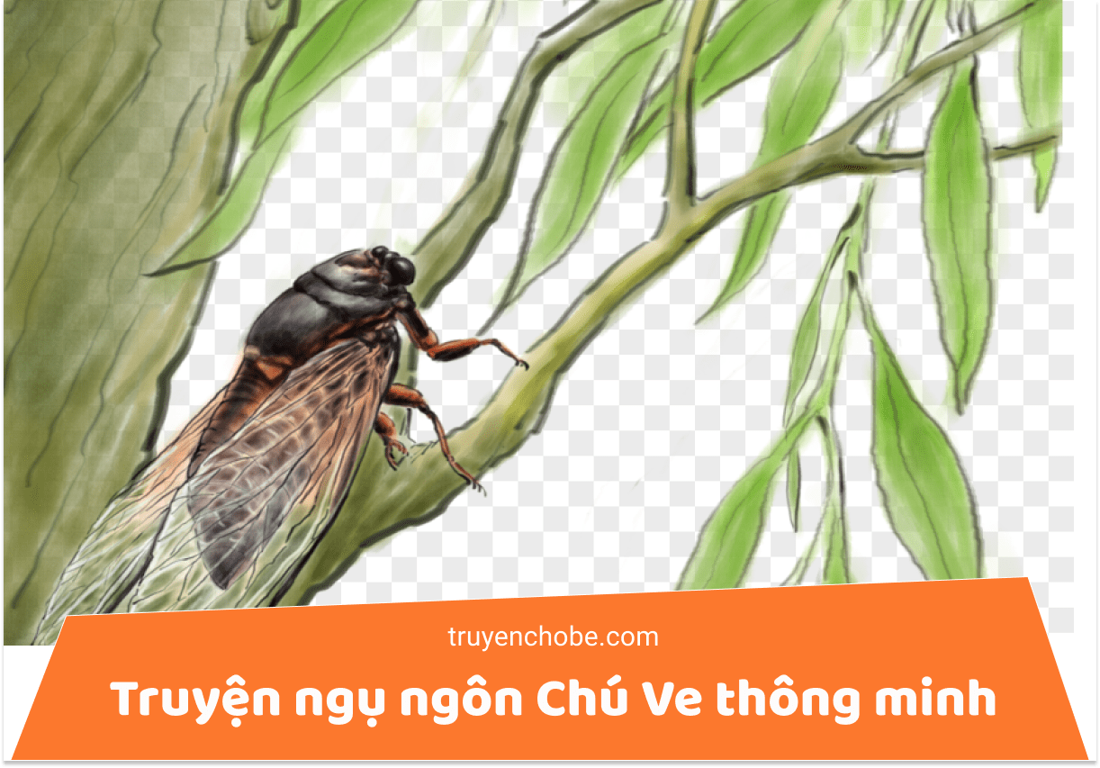 Truyện ngụ ngôn Chú Ve thông minh