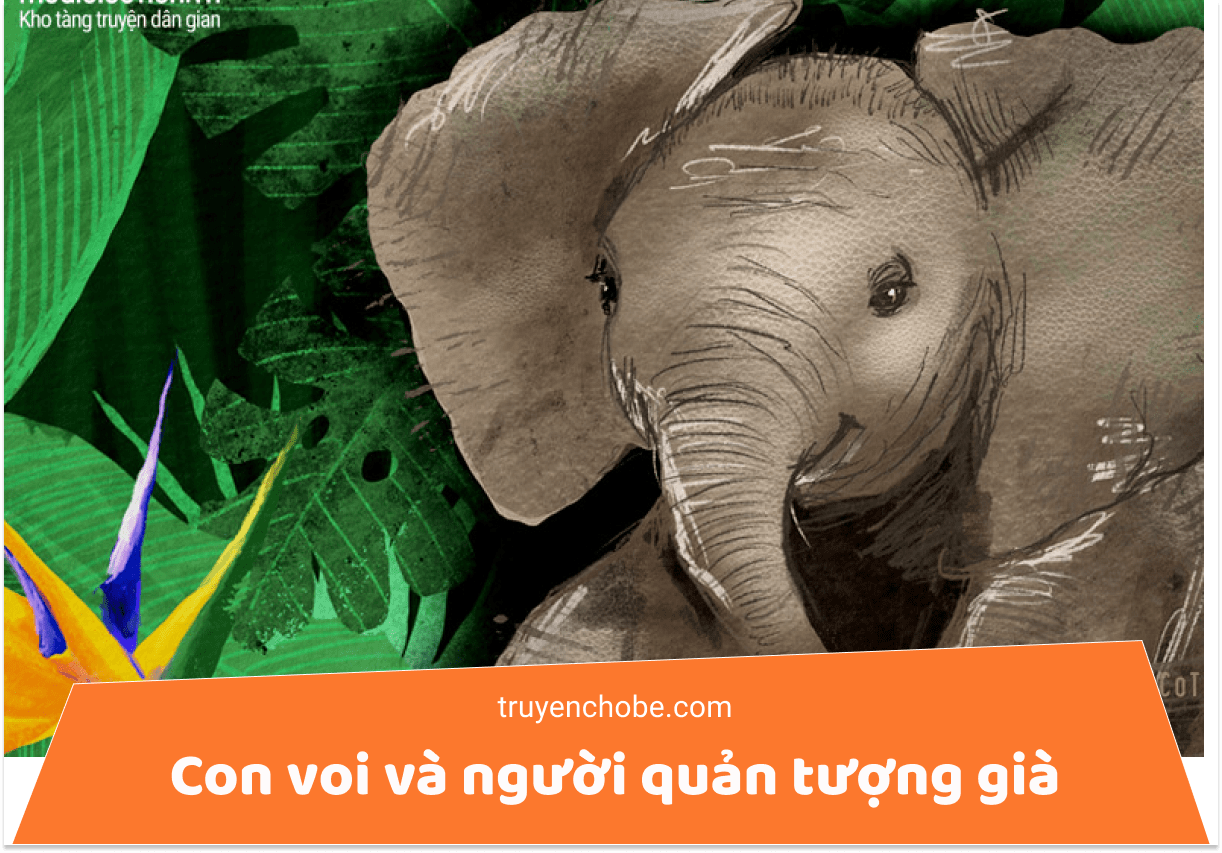 Con voi và người quản tượng già