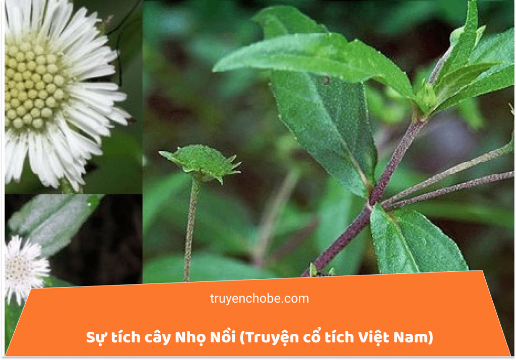 Sự tích cây Nhọ Nồi (Truyện cổ tích Việt Nam)