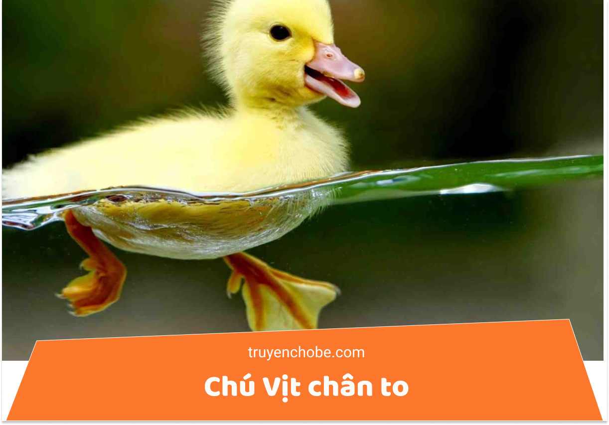 chú vịt chân to