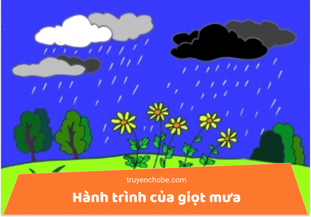 Hành trình của giọt mưa