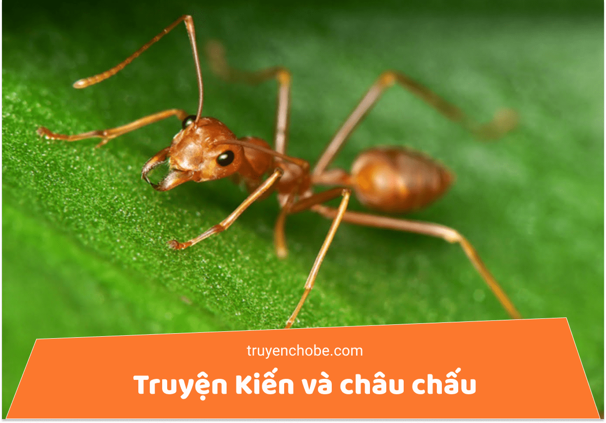 Truyện Kiến và châu chấu