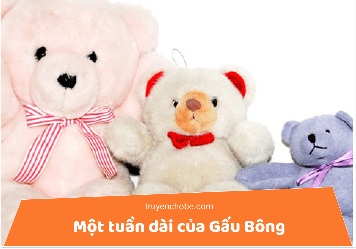 Một tuần dài của gấu bông