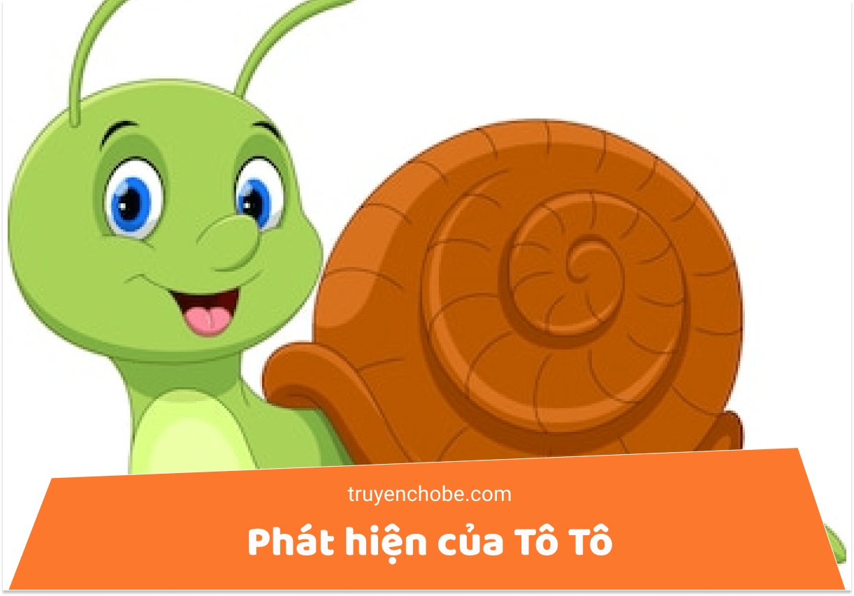 Phát hiện của Tô Tô