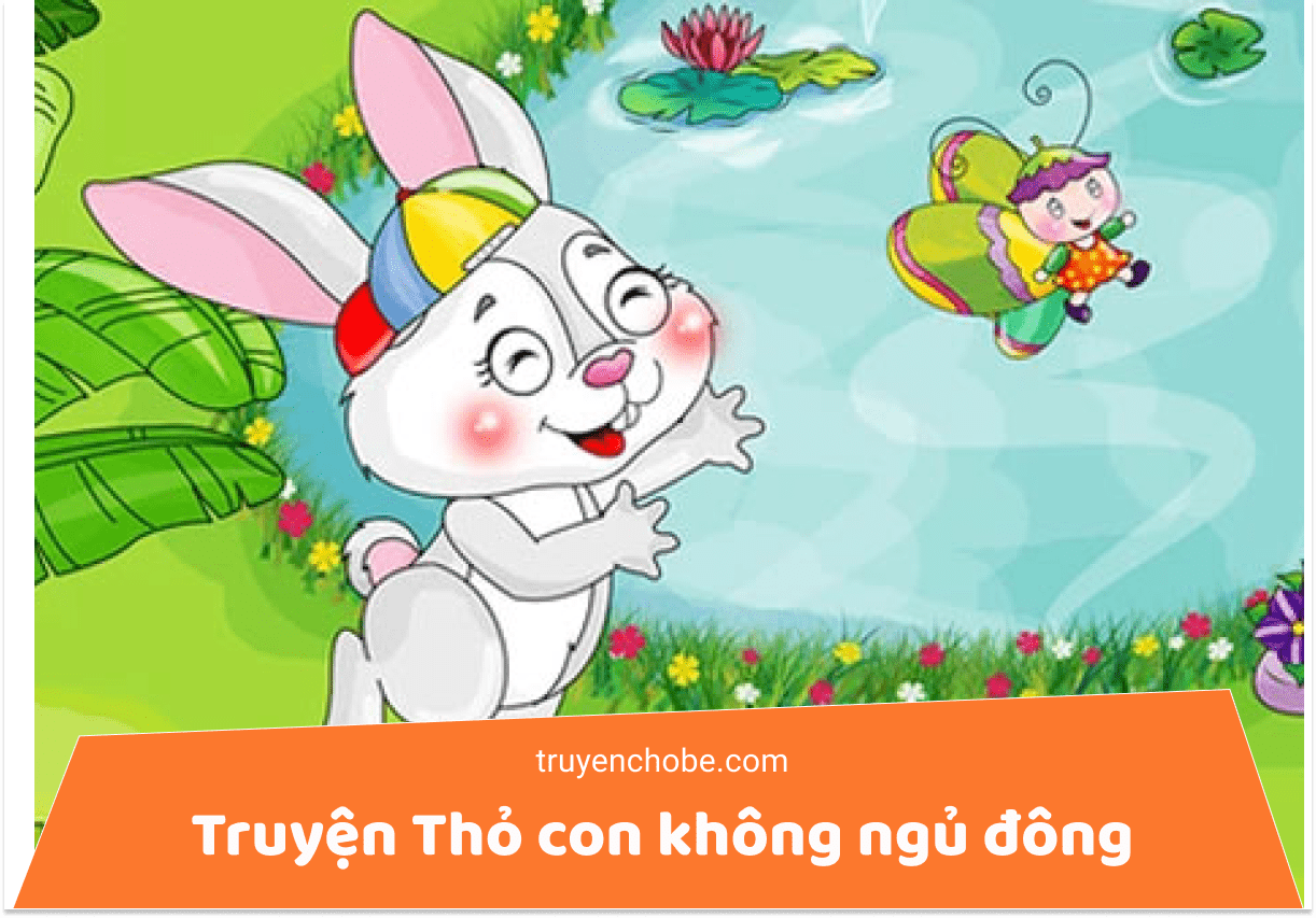 thỏ con không ngủ đông