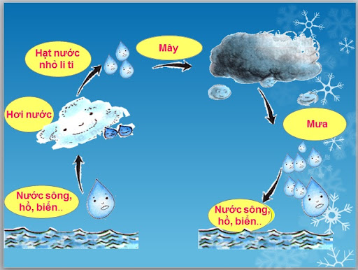 Vòng tuần hoàn của nước
