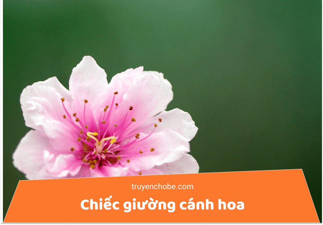 Chiếc giường cánh hoa