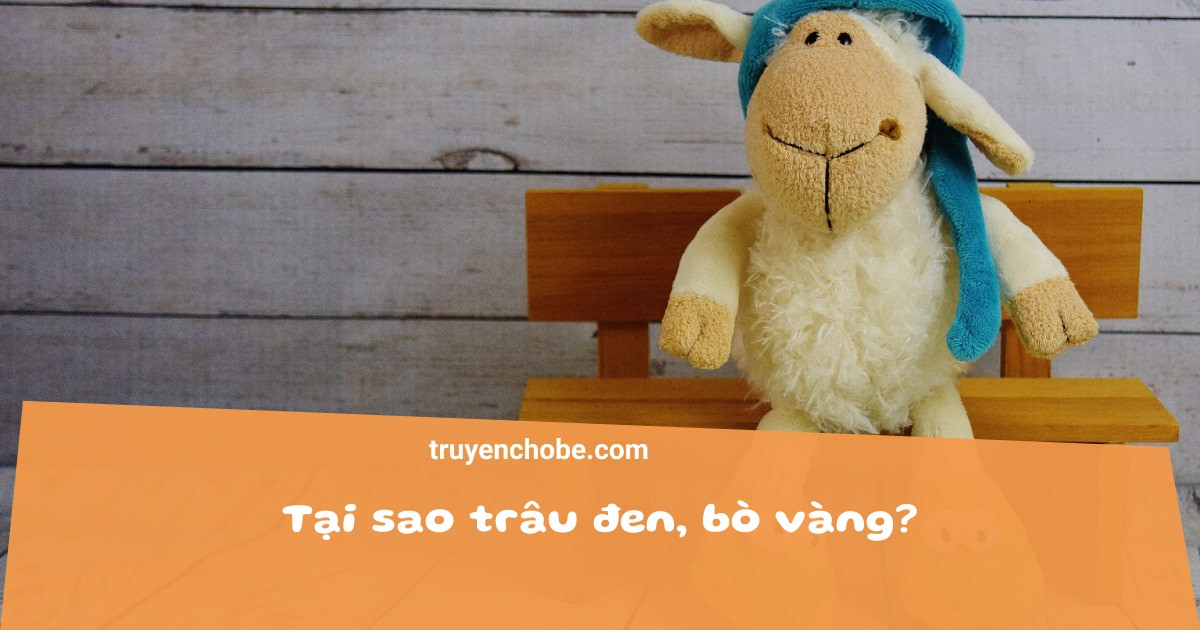 Tại sao trâu đen, bò vàng?