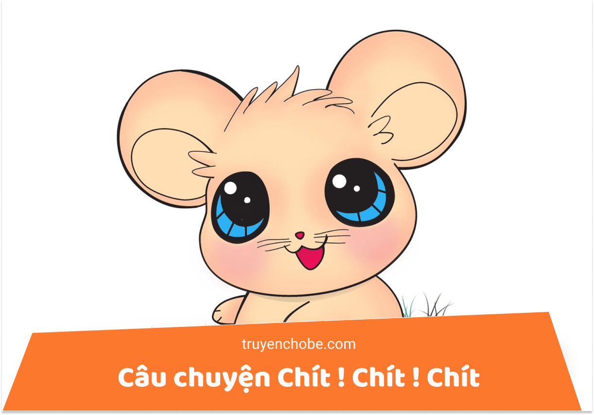 Câu chuyện Chít chít chít