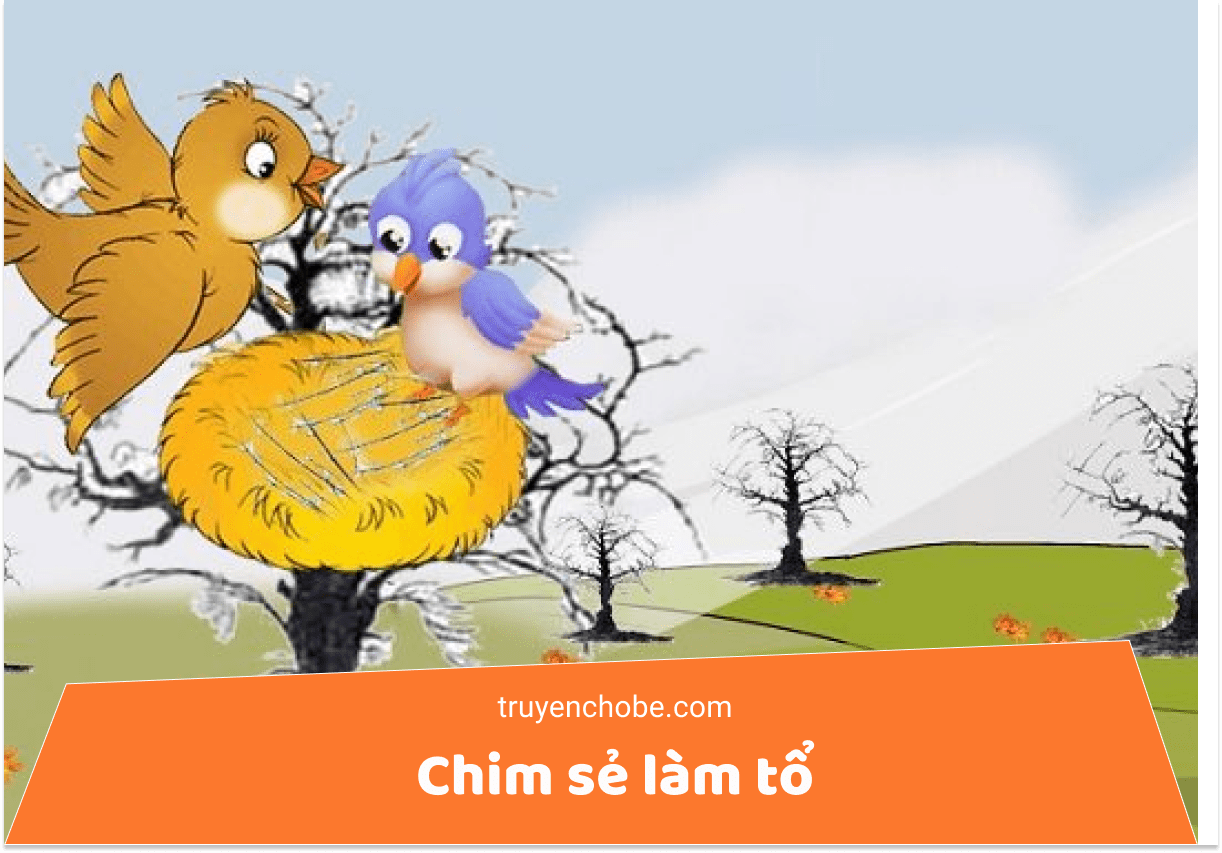 Chim sẻ làm tổ