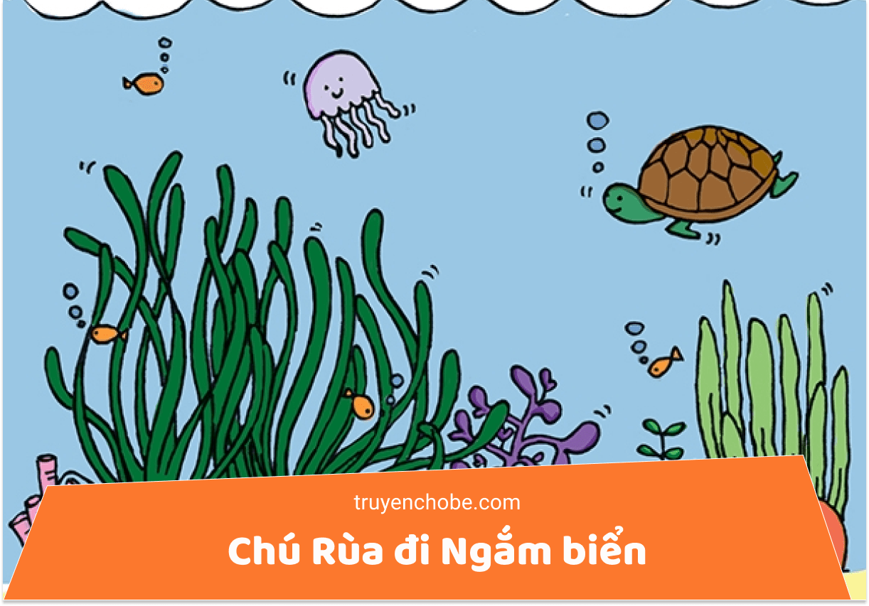 chú rùa đi ngắm biển
