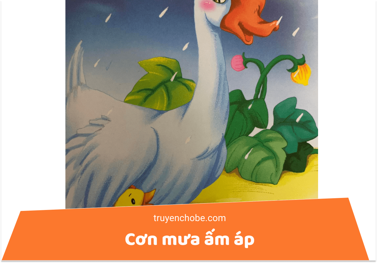 Cơn mưa ấm áp