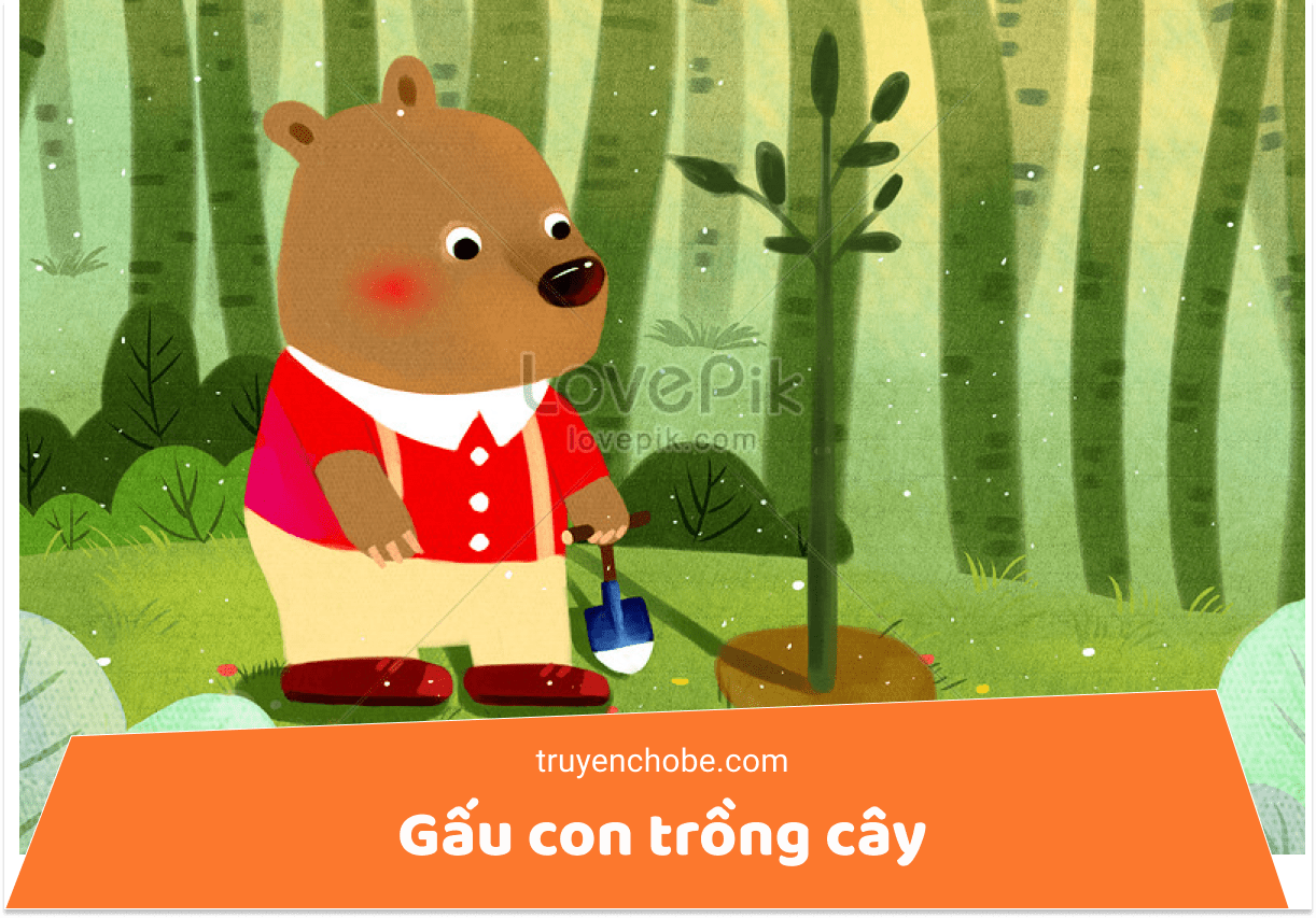 Gấu con trồng cây