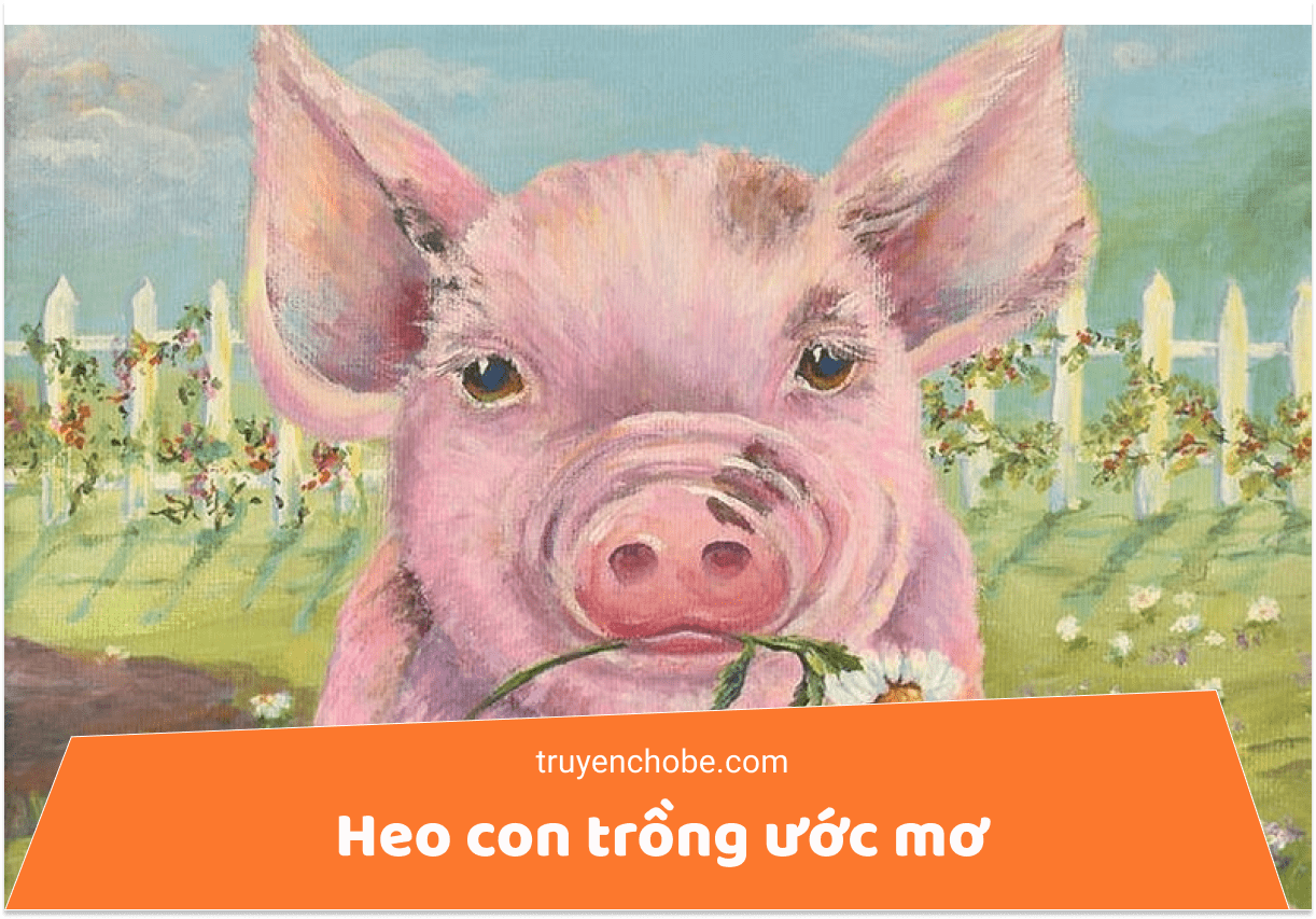 Heo con trồng ước mơ