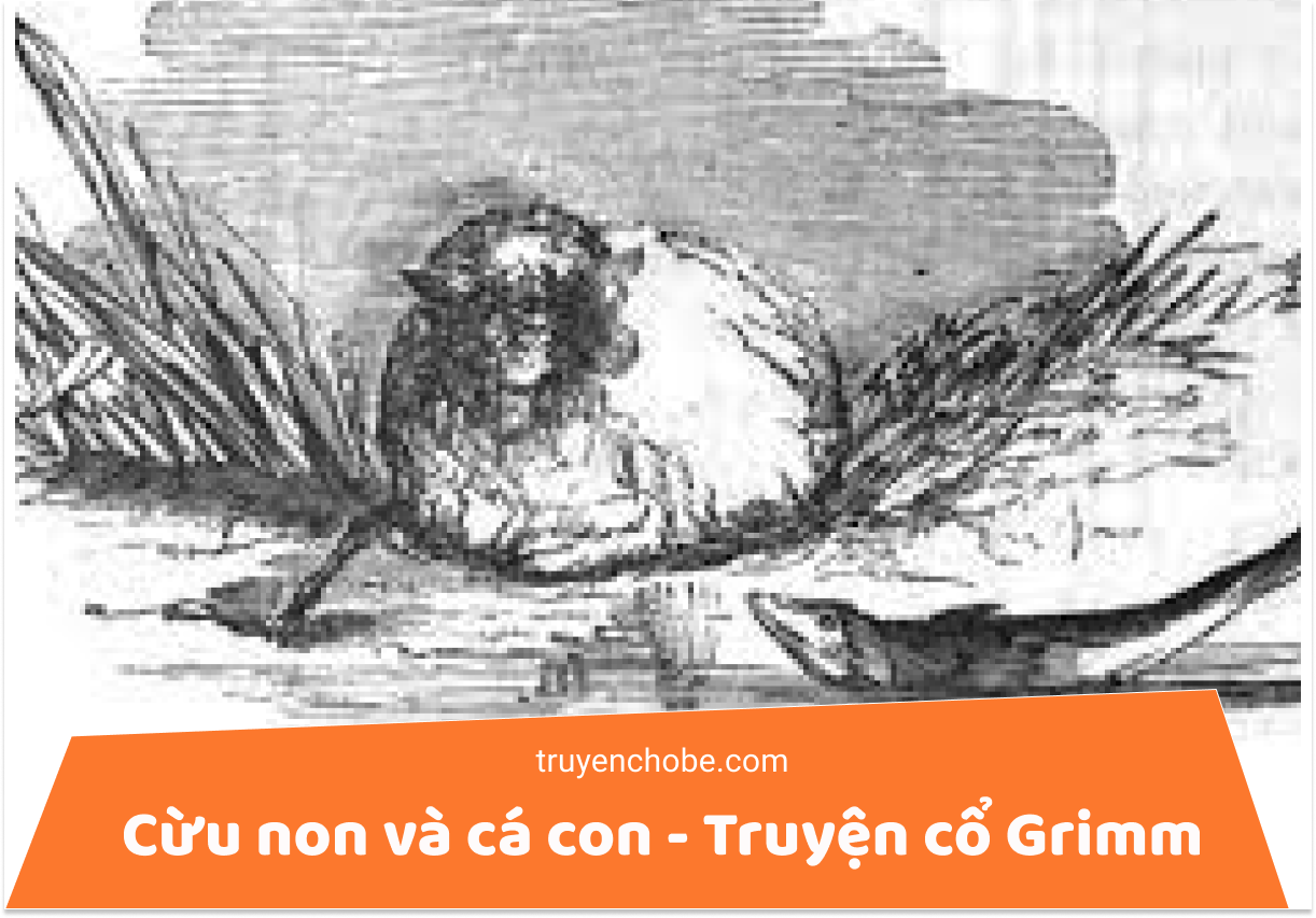 Cừu non và cá con - Truyện cổ Grimm