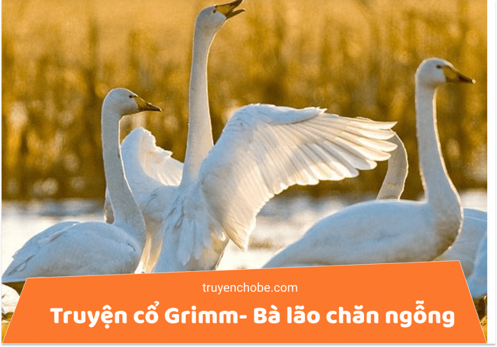 Truyện cổ Grimm- Bà lão chăn ngỗng