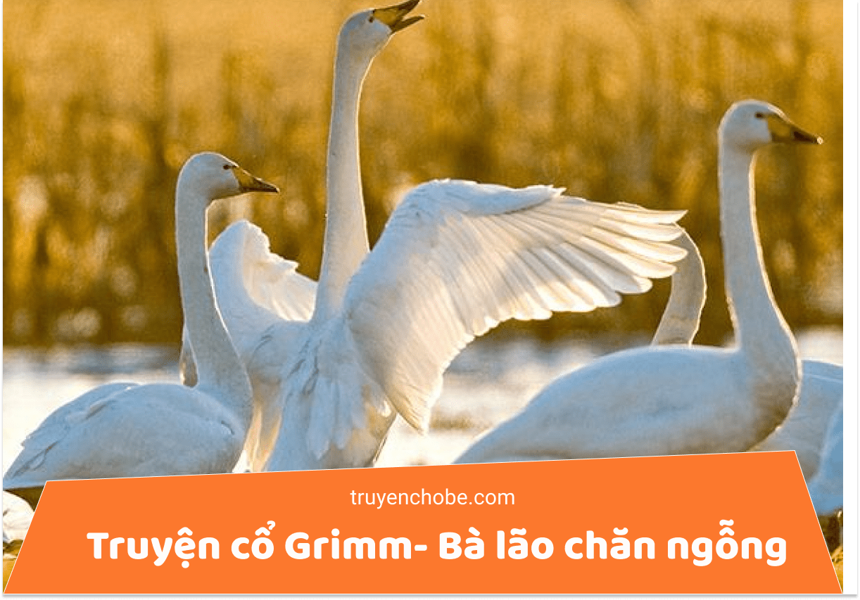 Truyện cổ Grimm- Bà lão chăn ngỗng